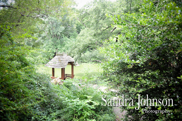 Best Central Park NY Wedding photographer - Sandra Johnson (SJFoto.com)
